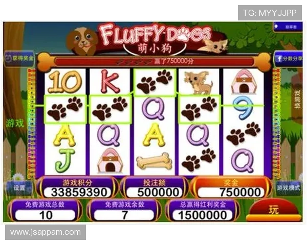 掌握多福多财角子机的详细规则指南助你在游戏中实现财运滚滚